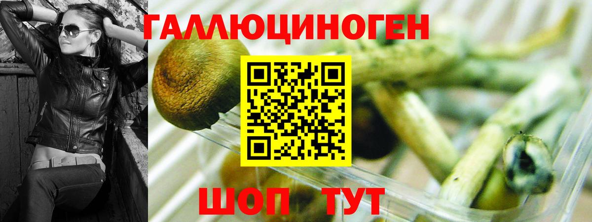 Белгород  Псилоцибиновые грибы прущие грибы  Псилоцибиновые грибы ЛСД  Вход с VPN 